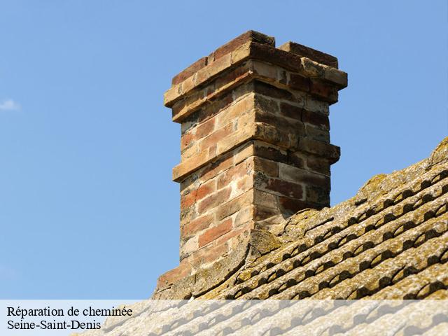 Réparation de cheminée Seine-Saint-Denis 